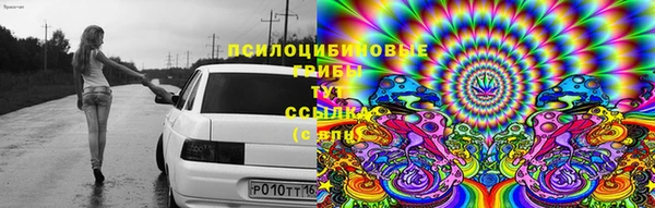 герыч Дмитровск