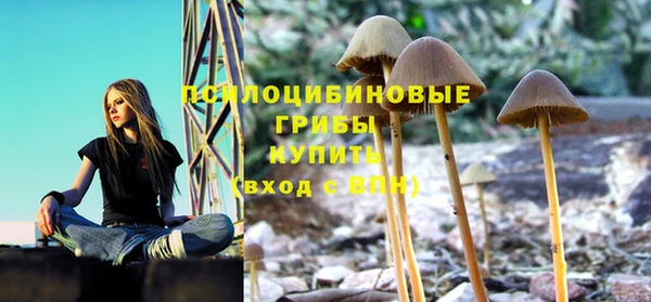 молекула духа Кодинск