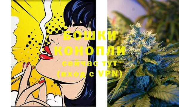 сатива Михайловка