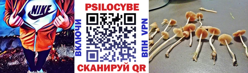 Галлюциногенные грибы MAGIC MUSHROOMS  как найти   Сурск 